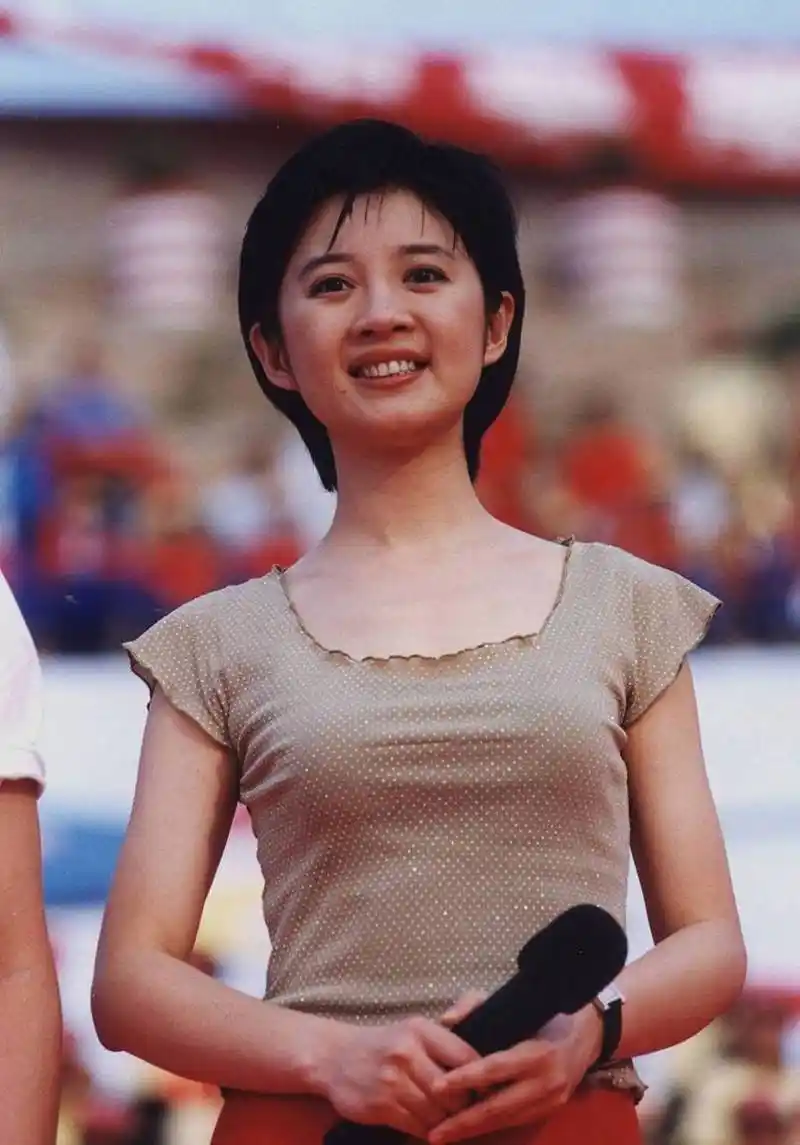 那年富豪丁健与许戈辉有了孩子,为了给许戈辉名分,他对刚生完孩子五个