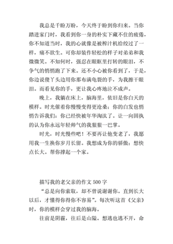 描写我的老父亲的作文500字.docx