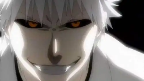 死神白一护的灵力就是早就封印在一护体内虚王的力量