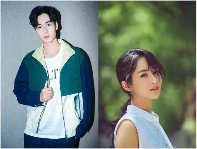 网友们觉得胡一天和杨紫搭吗?