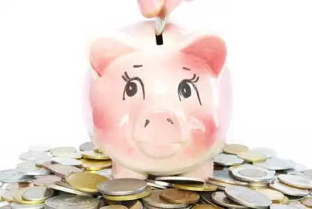 关于钱的存钱罐图片