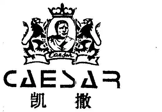 凯撒caesar