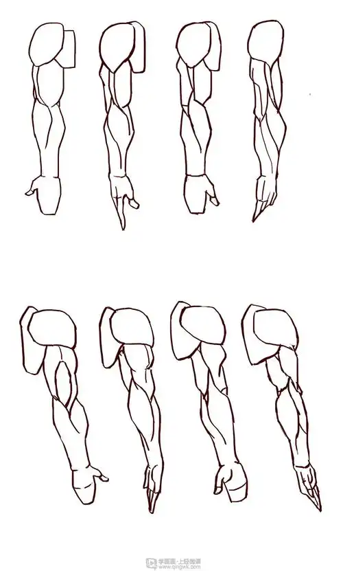 《游戏原画学习教程之画各个角度手臂练习》by 风尘