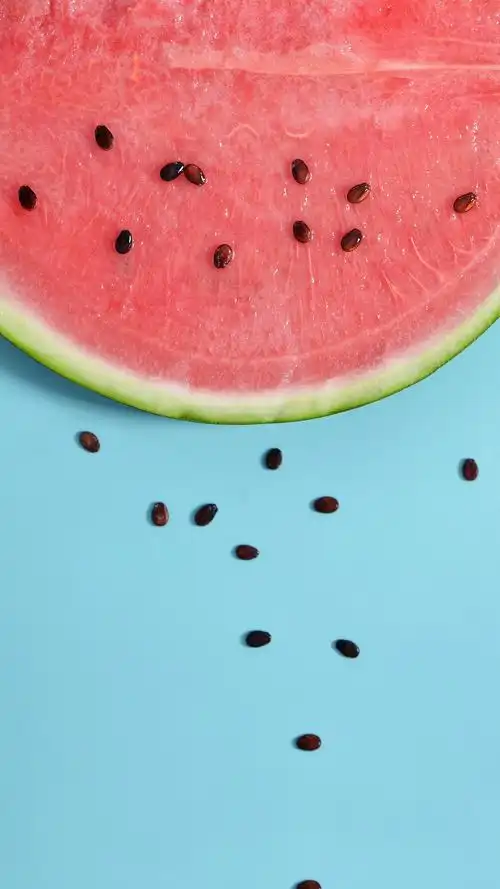 【v粉壁纸】小清新夏日西瓜摄影【4p】
