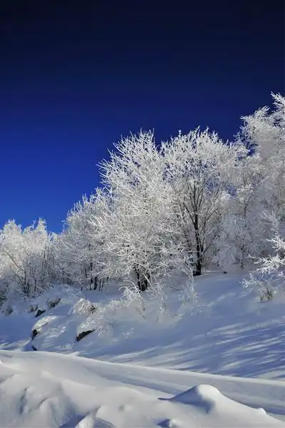 地 山东旅游 足迹 > 去感受冬日的银装素裹  雪乡回哈尔滨沿途的风景