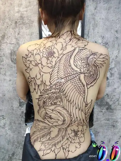 美女 凤凰线条 满背_纹身_美女_我的纹身分享_美妆_彩妆