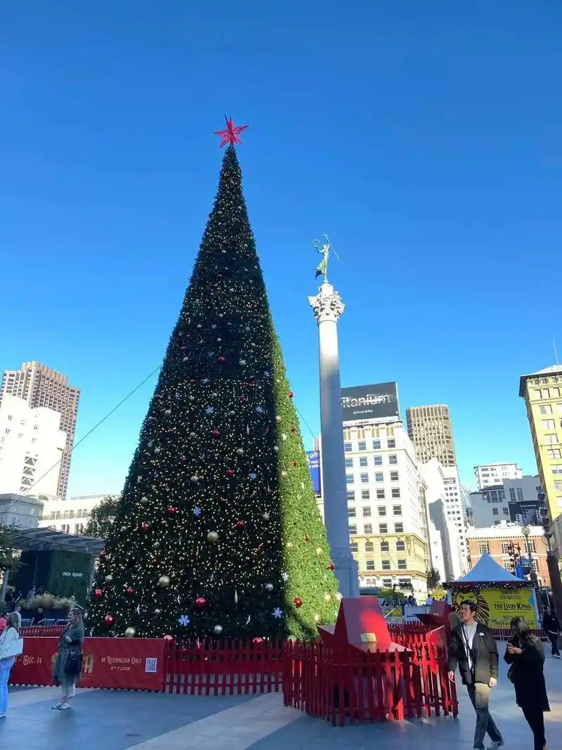 美国华盛顿是好的风景#街景随拍 #城市记忆 #慢下来看世界  - 抖音