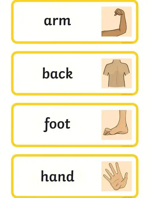 身体部位闪卡学习打印下来给宝宝学习配合歌曲加深印象#幼儿英语启蒙