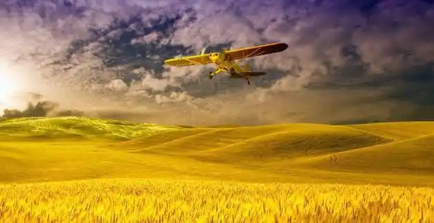 我泪眼婆娑地点了点头,紧紧地拥抱住张明,嗓音带着哭腔地说谢谢你