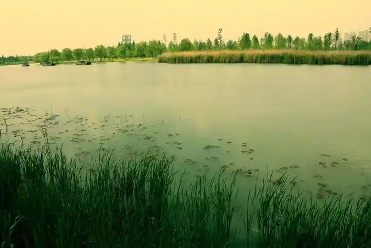 运河三湾:昔日运河故道,今日湿地公园.