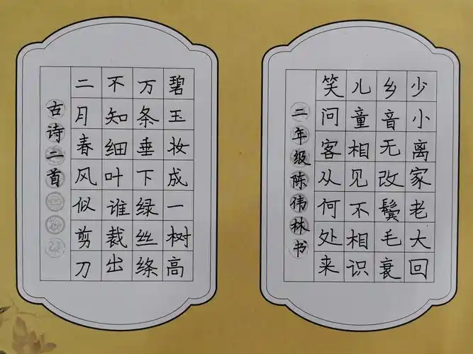 2020年秋季心印书法柳小点二年级作品集