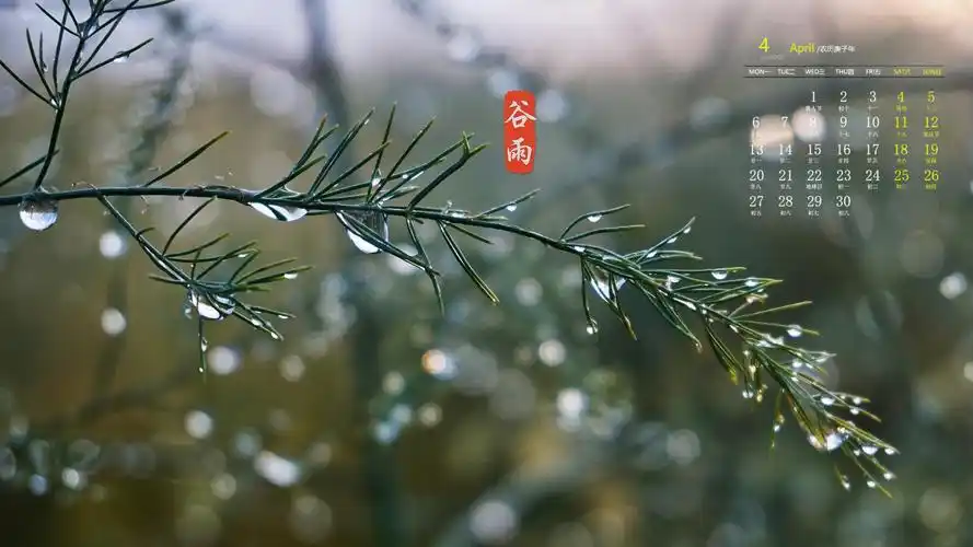 2020年4月小清新谷雨风光高清日历壁纸