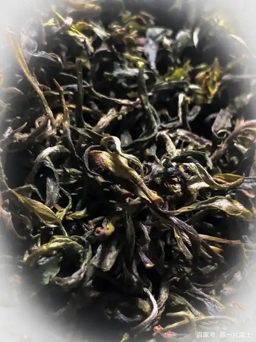 我们农村的野生茶,你喝过吗