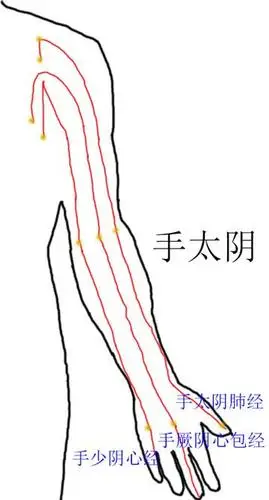 气功大周天的运行路线