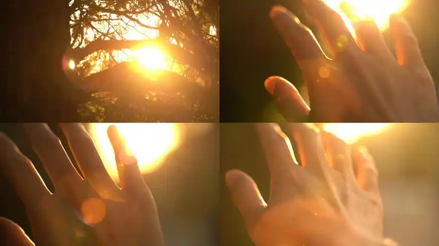 【原创】手 阳光