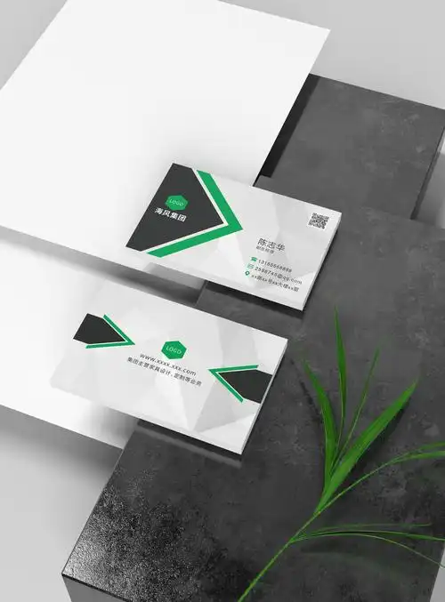 名片海风集团副总经理