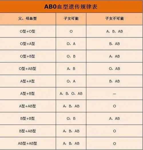 两个a型有可能生个b型血的bb