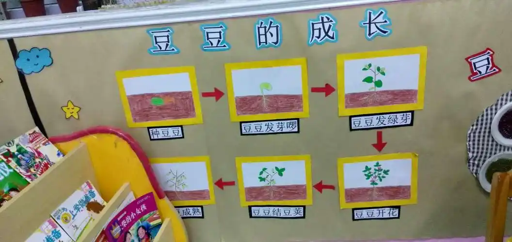 豆豆的成长过程,环境布置很棒