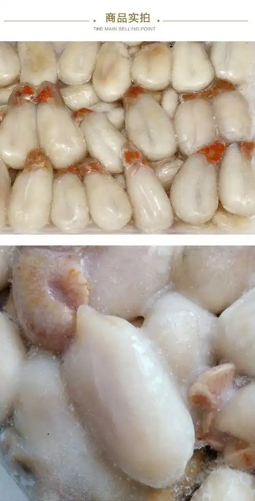 野生全淡无盐大墨鱼蛋4斤1斤乌贼卵乌鱼蛋新鲜乌贼目鱼蛋大白蛋无盐大