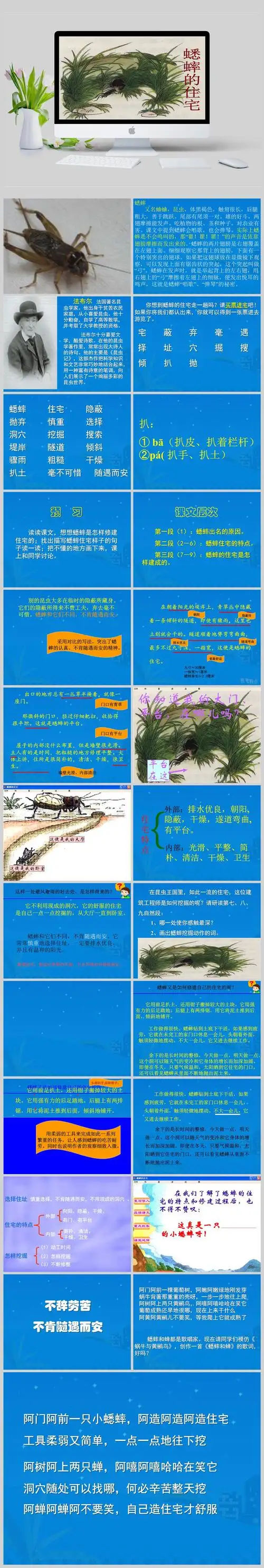 《蟋蟀的住宅》课堂演示课件ppt模板