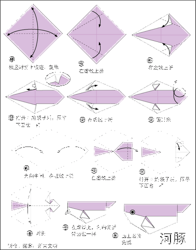 水里小动物折纸教程大全海豚的折纸步骤图解