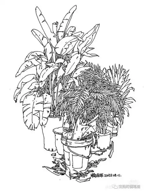 好看的钢笔画临摹素材,喜欢的赶快收藏了!_速写_生活_线条