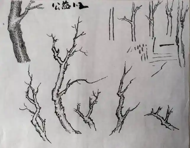 2019/8/2高山老师公益课第一课 树法