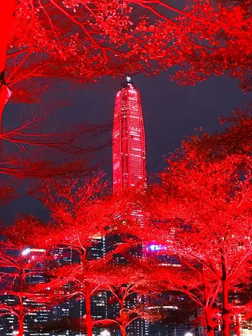 红红火火又一年手机拍摄