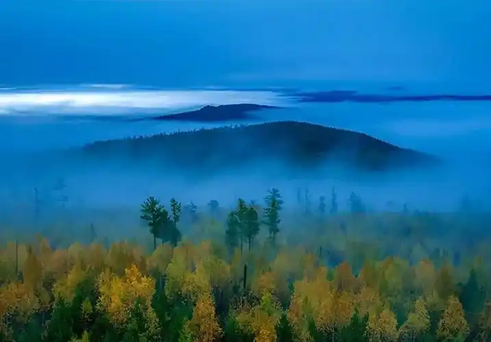 大兴安岭,不该被忘记