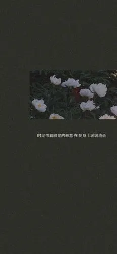 壁纸/背景图/ins冷淡风/文字壁纸原来是文文噢