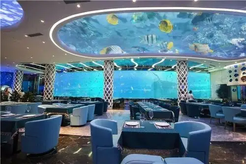 酒店特价 | 不到6折抢亚龙湾·瑞德姆海底餐厅浪漫双人午餐 人鱼表演