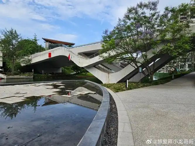 「清理存图进行时952024年5月12日在成都云朵乐园所拍」  9215