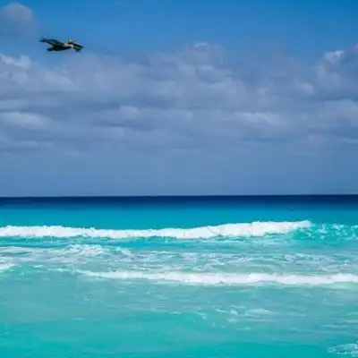 海边风景头像男