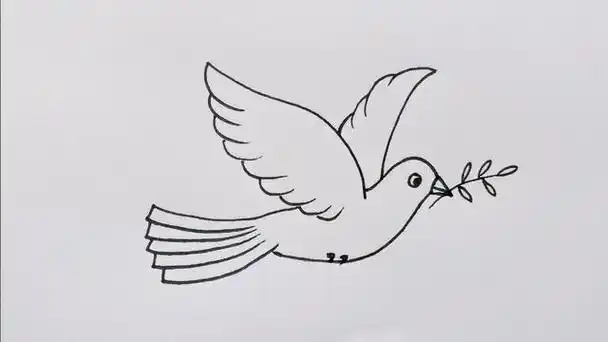 快收藏起来,让孩子放假了练习画画白鸽简笔画三步完成白鸽简笔画画法