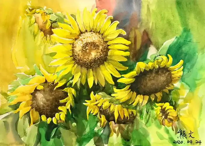 水彩花卉向日葵