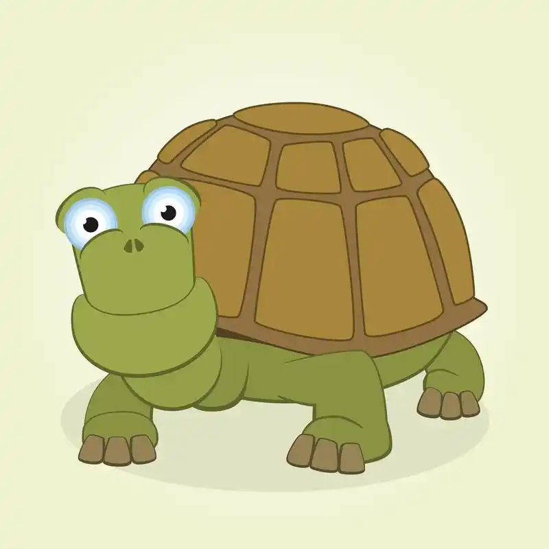 龟,卡通乌龟矢量插画