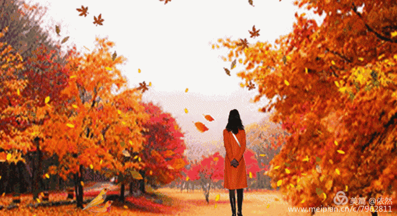 秋天 请再给我千百次的回眸 写美篇   我喜欢 洒满落叶的小径 秋天 我