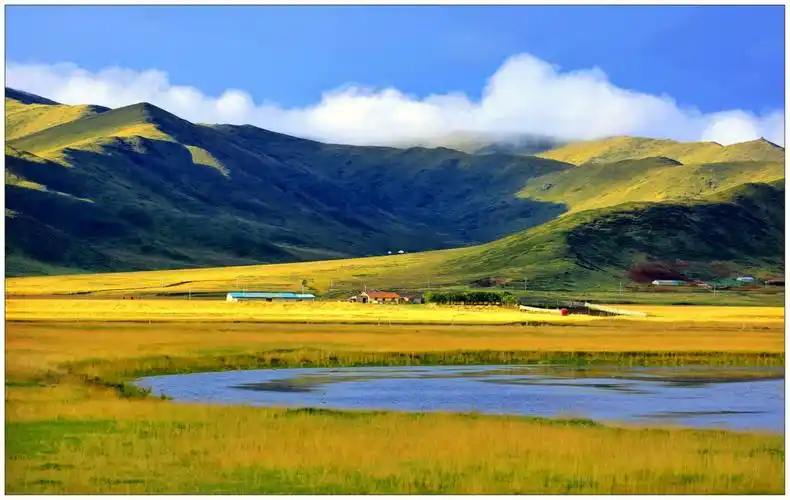 红原大草原秋色