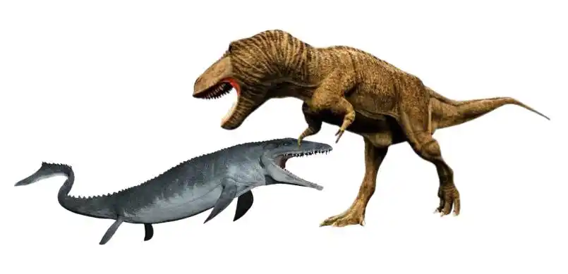 沧龙vs霸王龙(霸王龙vs大白鲨)  第12张