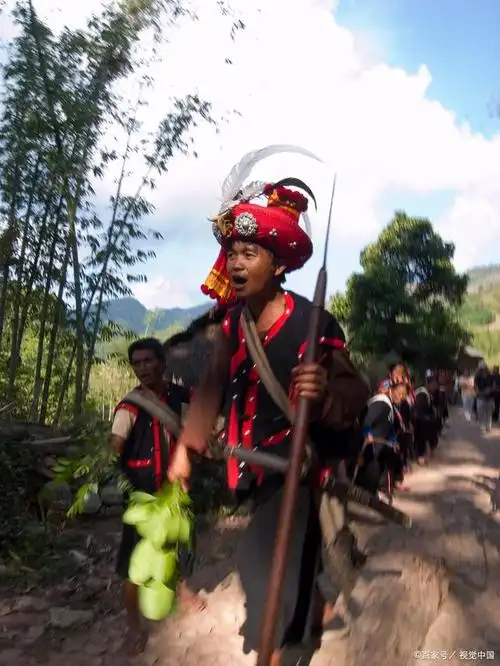 高山族主要分布在哪里