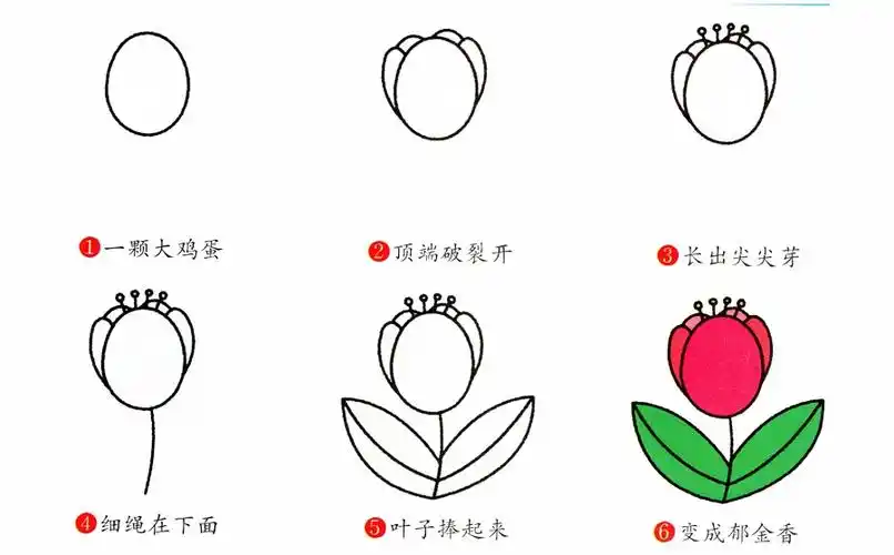 粉色郁金香简笔画步骤画法