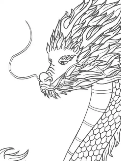 ipad手绘挑战   #插画  #国风元素  #龙  #我是原创插画师  #我是