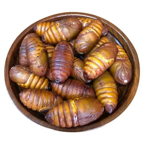 东北特产柞蚕蛹大个鲜活黄蚕蛹活辽宁a级大黄茧蛹黑蚕蛹 黑蛹小(3-4cm