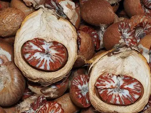 人吃槟榔,到底有害还是有益?_食用_一定的_治疗