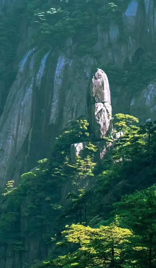 黄山奇石仙女弹琴的图片 简笔画