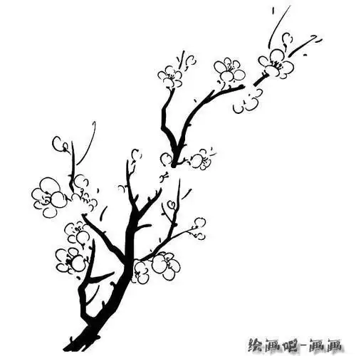 花枝画法简笔画