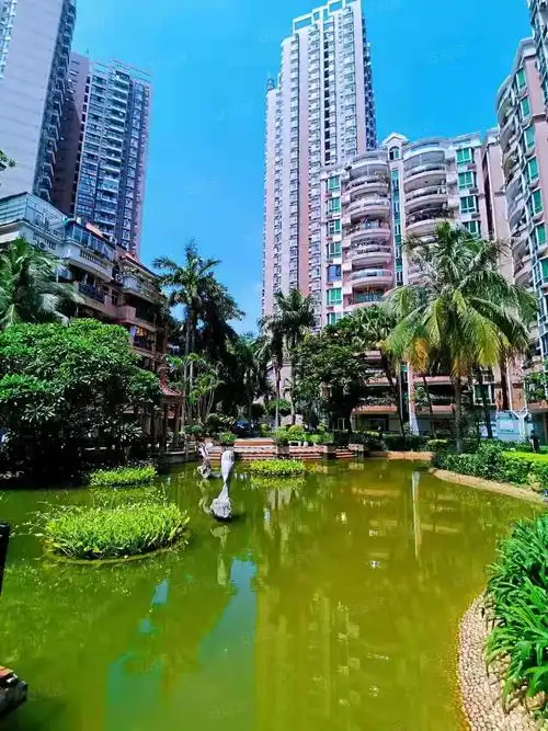 深圳房产网>深圳二手房>布吉二手房>下水径二手房>阳光花园>