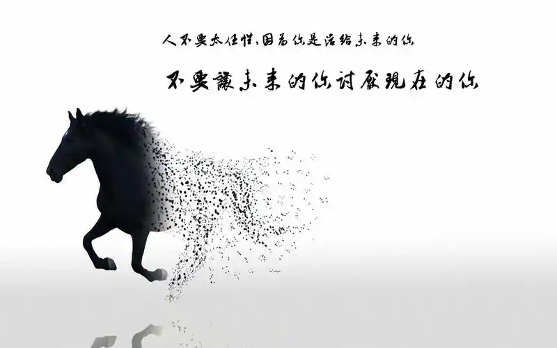 2013人生哲理经典语录桌面壁纸