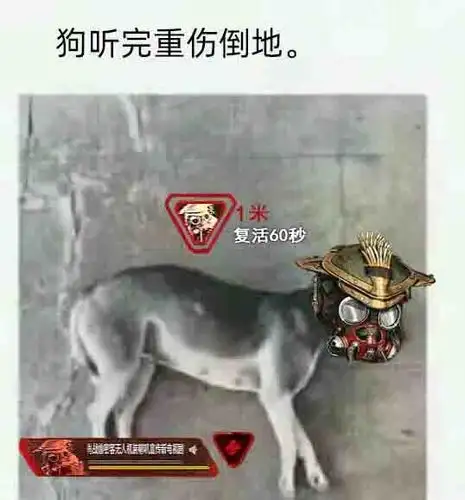 apex沙雕梗图合集