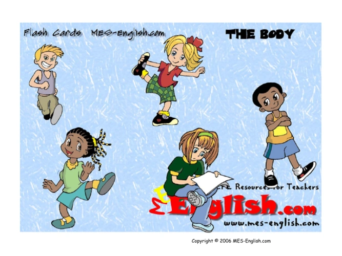 hair face nose ear eye mouth teeth neck hand finger arm elbow